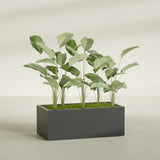 Torino Wide Rectangular fiberglass planter in Matte Charcoal, shown planted, in a sunlit interior