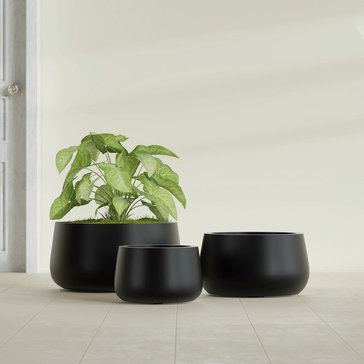 Short Hayden Bowl fiberglass planter in Matte Black, size range, in a sunlit interior