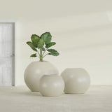 Globe fiberglass planter in Satin Beige, size range, in a sunlit interior