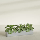 Salon Box fiberglass planter in Metallic Silver, shown planted, in a sunlit interior