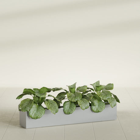 Salon Box fiberglass planter in Metallic Silver, shown planted, in a sunlit interior