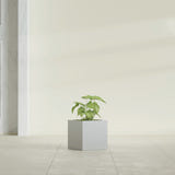 Monaco Cube fiberglass planter in Metallic Silver, shown planted, in a sunlit interior