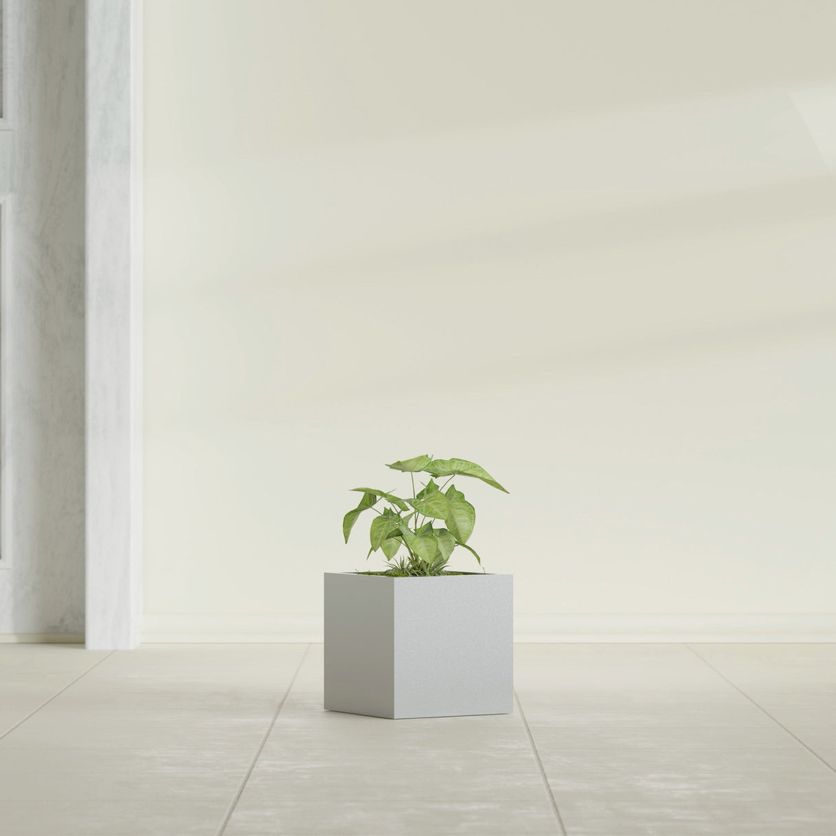 Monaco Cube fiberglass planter in Metallic Silver, shown planted, in a sunlit interior