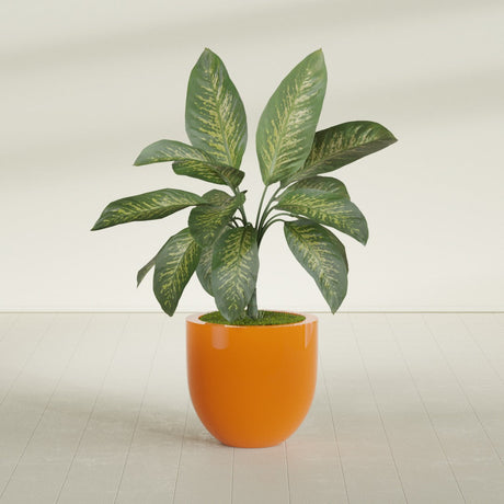 Alzira Bowl fiberglass planter in Gloss Tangerine, shown planted, in a sunlit interior