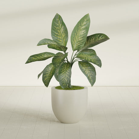 Alzira Bowl fiberglass planter in Satin Beige, shown planted, in a sunlit interior