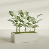 Torino Corner fiberglass planter in Satin Beige, shown planted, in a sunlit interior