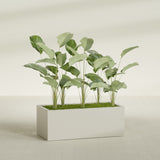 Torino Wide Rectangular fiberglass planter in Satin Beige, shown planted, in a sunlit interior
