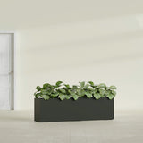 Hudson Extra Long fiberglass planter in Matte Charcoal, shown planted, in a sunlit interior