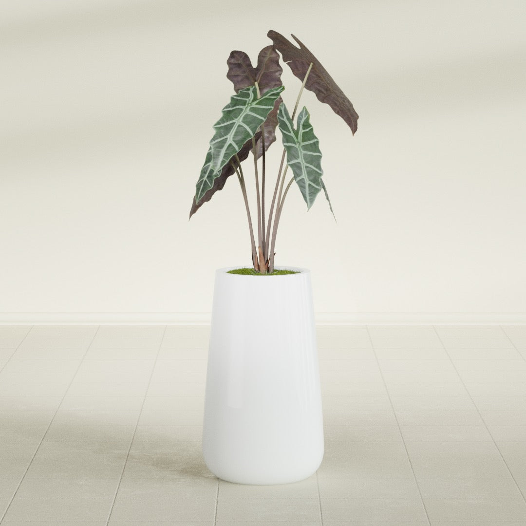 Saigon Tapered Round fiberglass planter in Matte Bright White, shown planted, in a sunlit interior