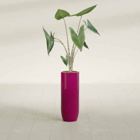 Saint Tropez Bullet Round fiberglass planter in Gloss Eggplant, shown planted, in a sunlit interior