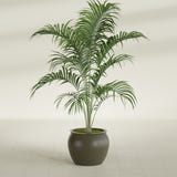 Shanghai Fishbowl fiberglass planter in Matte Bronze, shown planted, in a sunlit interior