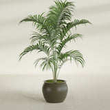 Shanghai Fishbowl fiberglass planter in Matte Bronze, shown planted, in a sunlit interior