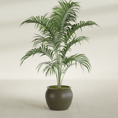 Shanghai Fishbowl fiberglass planter in Matte Bronze, shown planted, in a sunlit interior