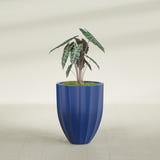 Alicante Fluted fiberglass planter in Matte Cobalt Blue, shown planted, in a sunlit interior