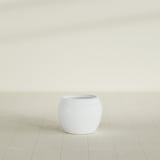 Shanghai Fishbowl Planter in Matte Bright White, 16", shown empty