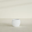 Shanghai Fishbowl Planter in Matte Bright White, 16", shown empty