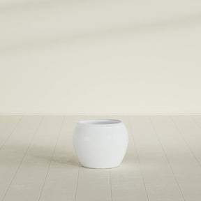 Shanghai Fishbowl Planter in Matte Bright White, 16", shown empty