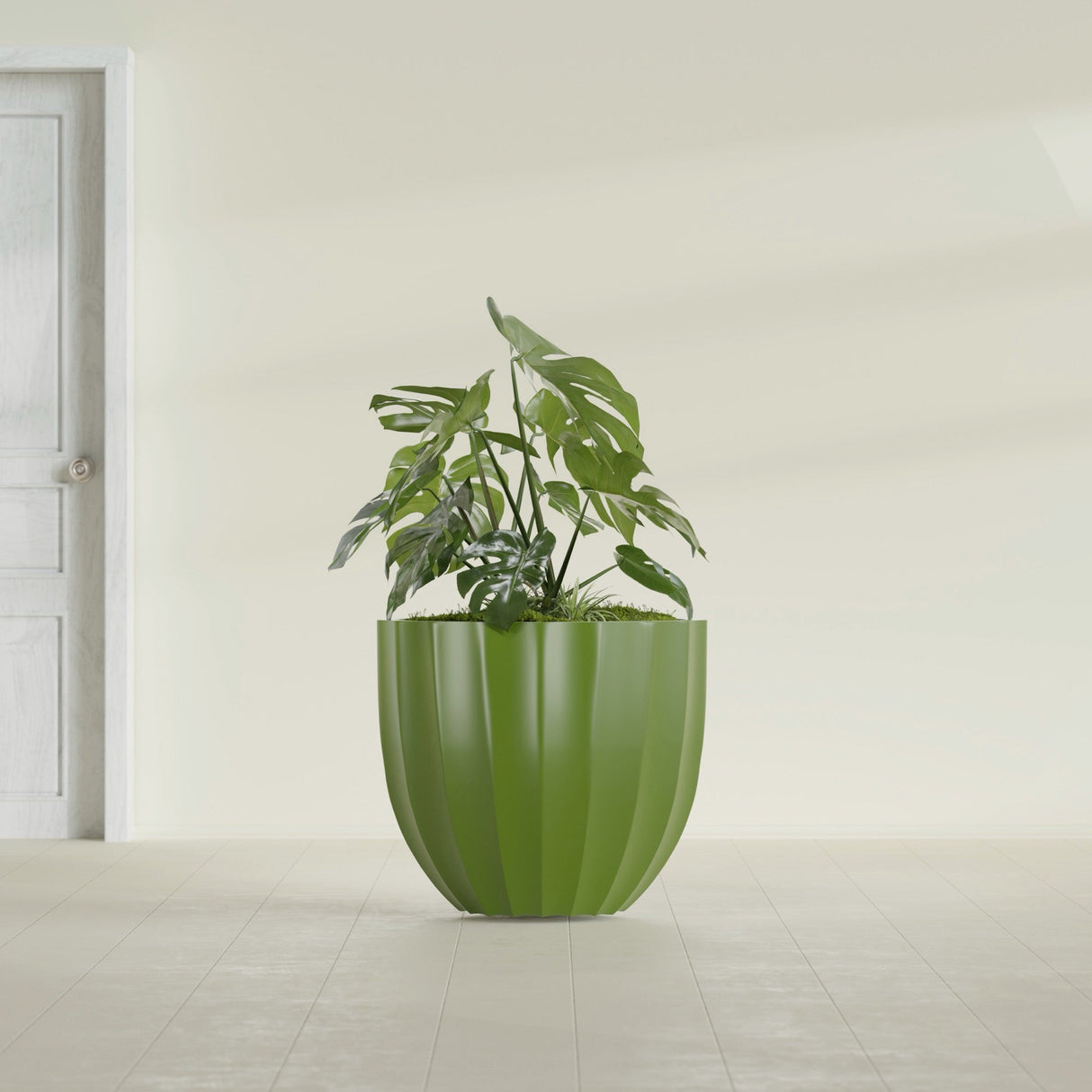 Santa Barbara Fluted Round fiberglass planter in Satin Green, shown planted, in a sunlit interior