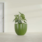 Santa Barbara Fluted Round fiberglass planter in Satin Green, shown planted, in a sunlit interior