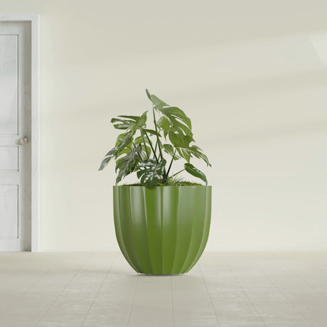 Santa Barbara Fluted Round fiberglass planter in Satin Green, shown planted, in a sunlit interior