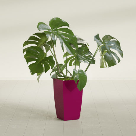 Toulan Tapered Square fiberglass planter in Gloss Eggplant, shown planted, in a sunlit interior