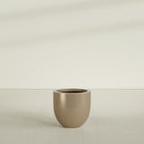 Alzira Bowl Planter in Gloss Metallic Gold, 23"D × 22"H, shown empty