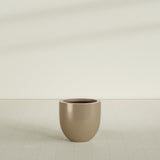 Alzira Bowl Planter in Gloss Metallic Gold, 23"D × 22"H, shown empty