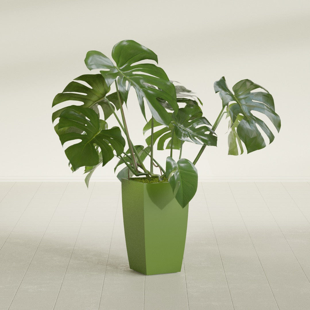 Toulan Tapered Square fiberglass planter in Satin Green, shown planted, in a sunlit interior