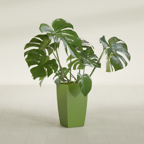 Toulan Tapered Square fiberglass planter in Satin Green, shown planted, in a sunlit interior