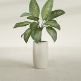 Lisbon Tall Round fiberglass planter in Satin Beige, shown planted, in a sunlit interior