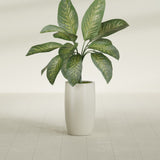 Lisbon Tall Round fiberglass planter in Satin Beige, shown planted, in a sunlit interior