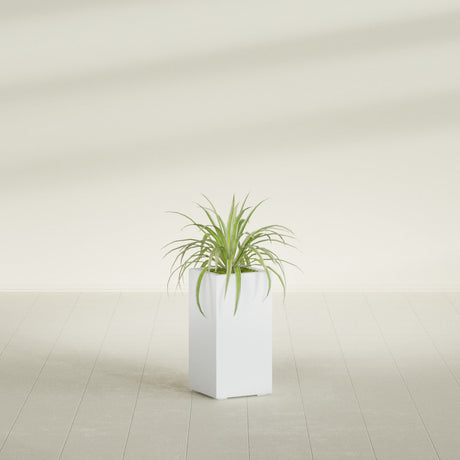 Hollywood Corner fiberglass planter in Gloss Bright White, shown planted, in a sunlit interior