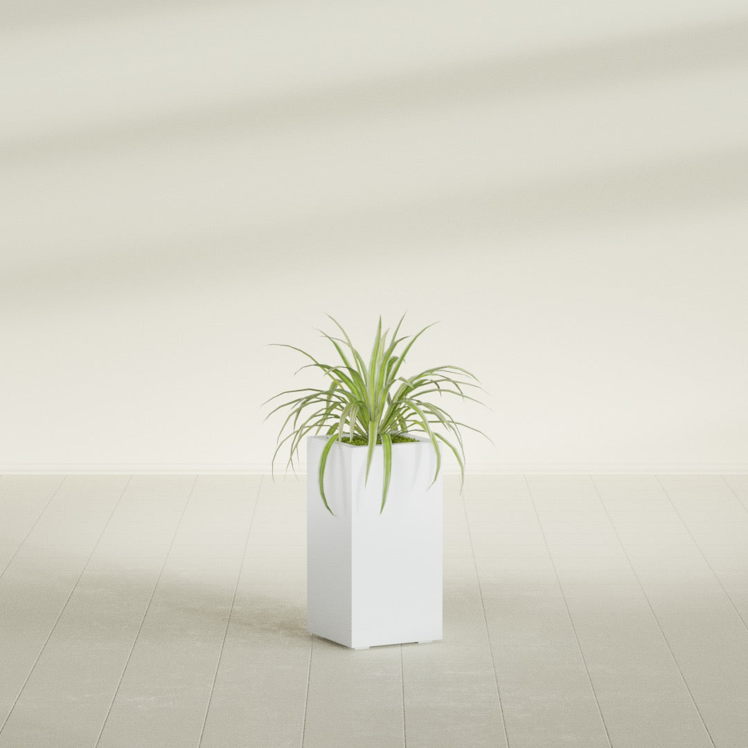 Hollywood Narrow Rectangular fiberglass planter in Gloss Bright White, shown planted, in a sunlit interior