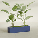 Cuba Corner fiberglass planter in Matte Cobalt Blue, shown planted, in a sunlit interior