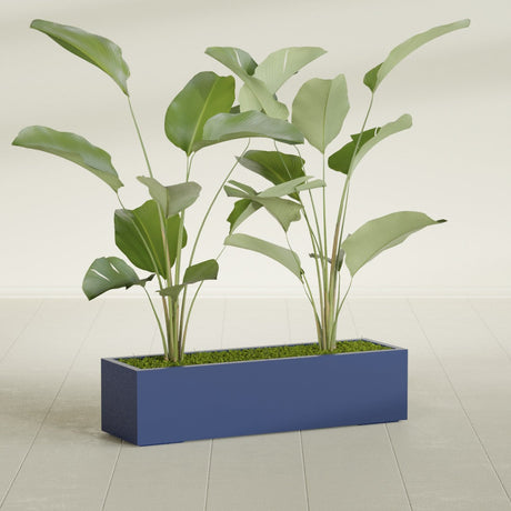 Cuba Corner fiberglass planter in Matte Cobalt Blue, shown planted, in a sunlit interior