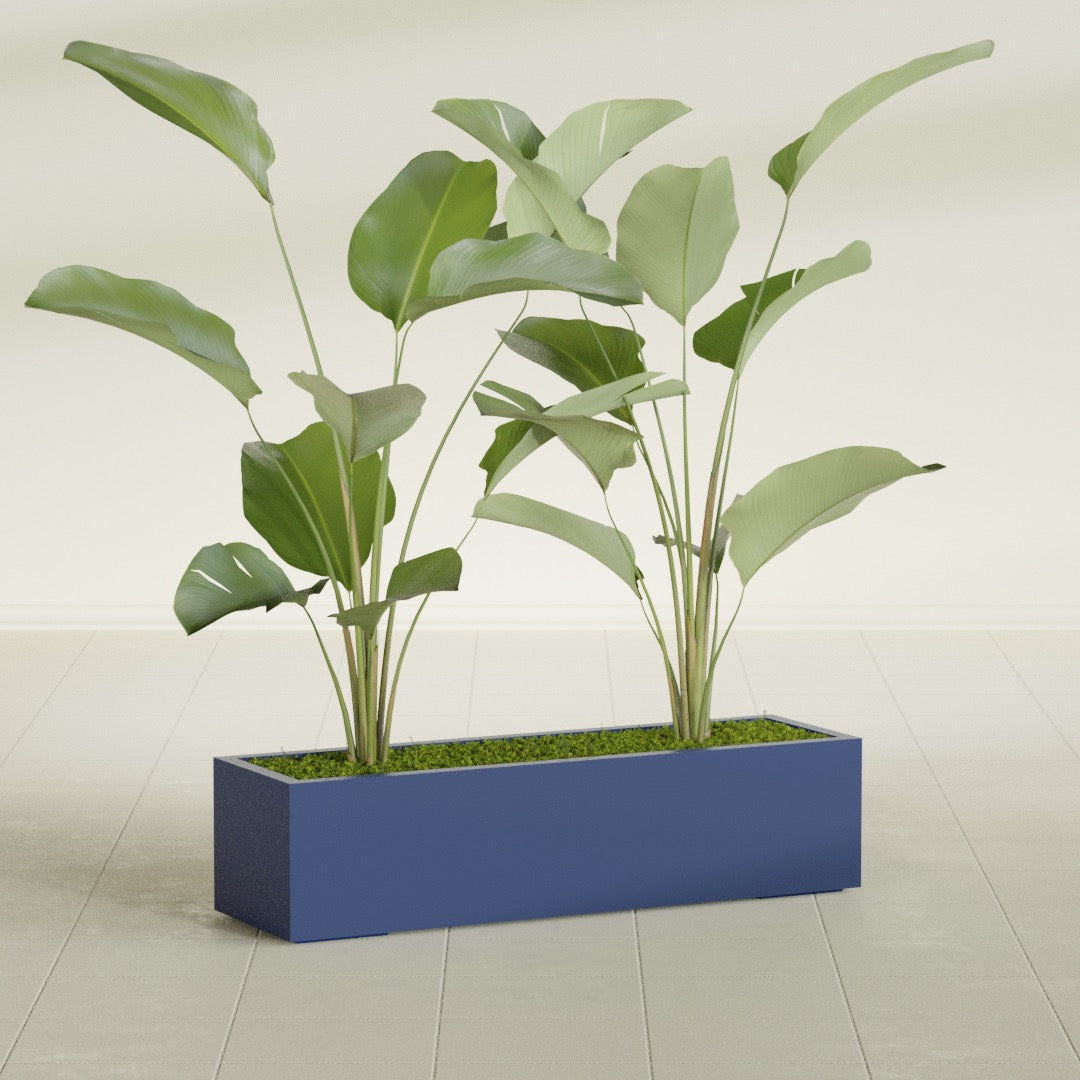 Cuba Low Rectangular fiberglass planter in Matte Cobalt Blue, shown planted, in a sunlit interior