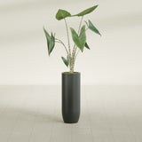 Saint Tropez Bullet Round fiberglass planter in Matte Charcoal, shown planted, in a sunlit interior