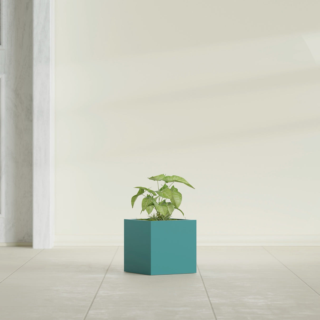 Monaco Cube fiberglass planter in Satin Seafoam Green, shown planted, in a sunlit interior