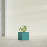Monaco Cube fiberglass planter in Satin Seafoam Green, shown planted, in a sunlit interior