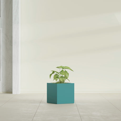 Monaco Cube fiberglass planter in Satin Seafoam Green, shown planted, in a sunlit interior