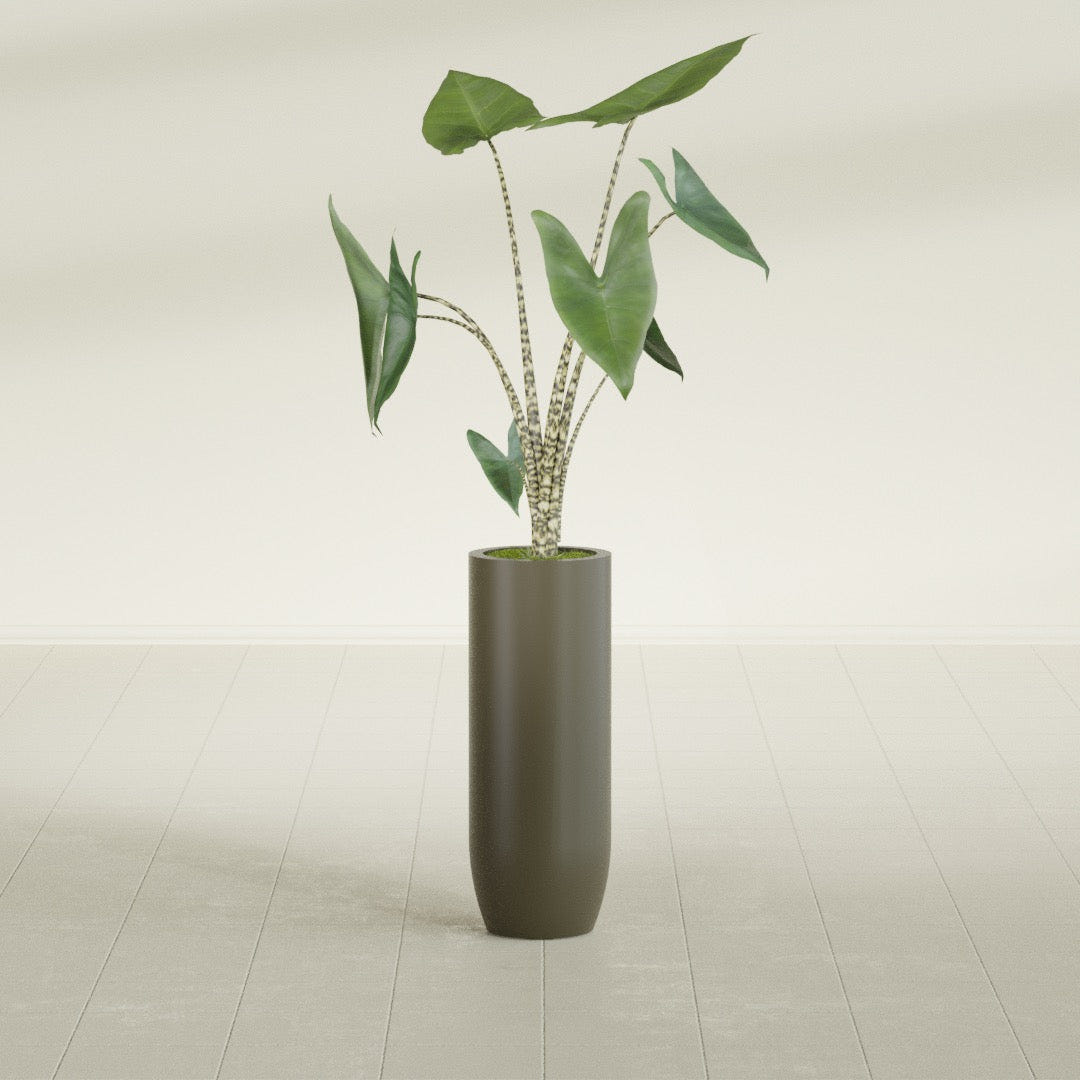 Saint Tropez Bullet Round fiberglass planter in Matte Bronze, shown planted, in a sunlit interior