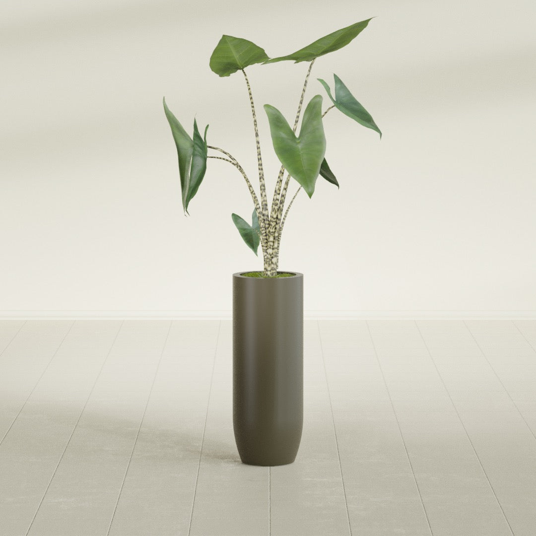 Saint Tropez Bullet Round fiberglass planter in Matte Bronze, shown planted, in a sunlit interior