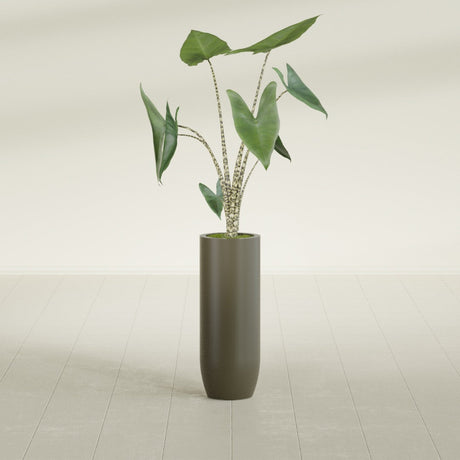 Saint Tropez Bullet Round fiberglass planter in Matte Bronze, shown planted, in a sunlit interior