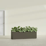 Hudson Extra Long fiberglass planter in Matte Bronze, shown planted, in a sunlit interior
