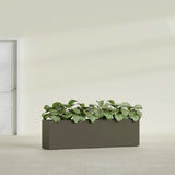 Hudson Extra Long fiberglass planter in Matte Bronze, shown planted, in a sunlit interior