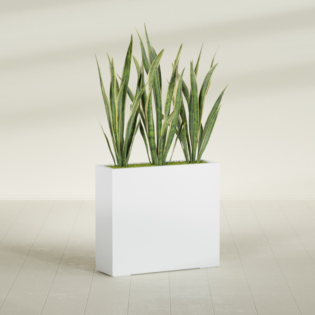 Delray Corner fiberglass planter in Gloss Bright White, shown planted, in a sunlit interior
