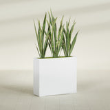Delray Corner fiberglass planter in Gloss Bright White, shown planted, in a sunlit interior