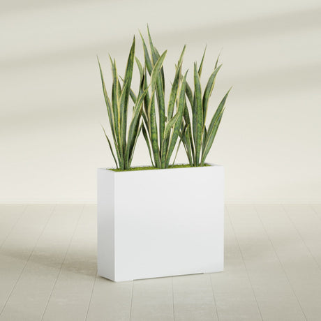 Delray Corner fiberglass planter in Gloss Bright White, shown planted, in a sunlit interior