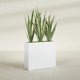 Delray Rectangular fiberglass planter in Gloss Bright White, shown planted, in a sunlit interior