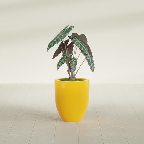 Valencia Tapered Round fiberglass planter in Gloss Saffron, shown planted, in a sunlit interior